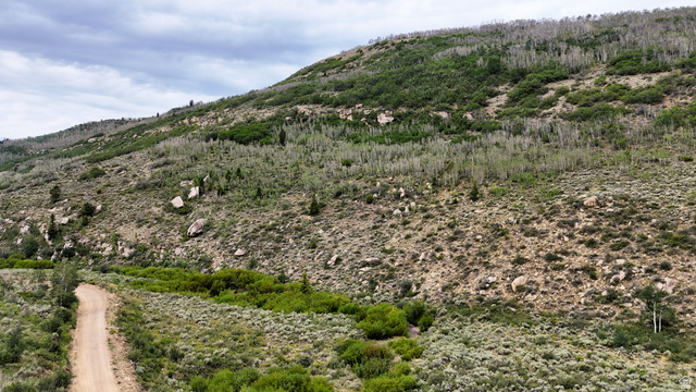 123 Beaver Creek Road Helper, UT 84526 - Photo 1 of 47 Expansive mountain terrain featuring a winding dirt road, diverse natural vegetation, scattered rock formations, and mature trees on rolling slopes