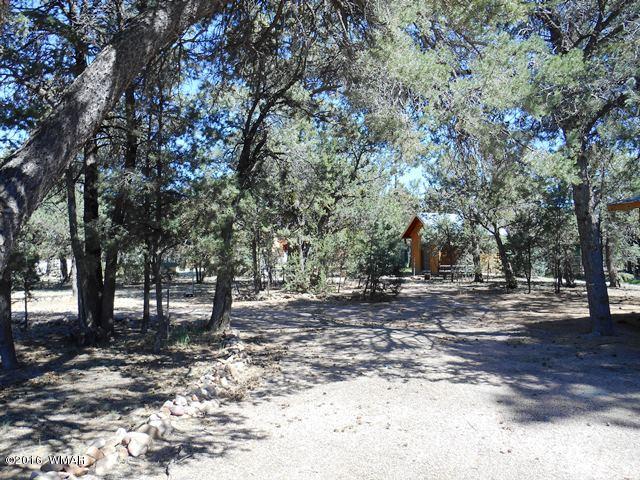 3371 Rim Lakes Drive Overgaard, AZ 85933 - Photo 12 of 59 Gallery Image 12