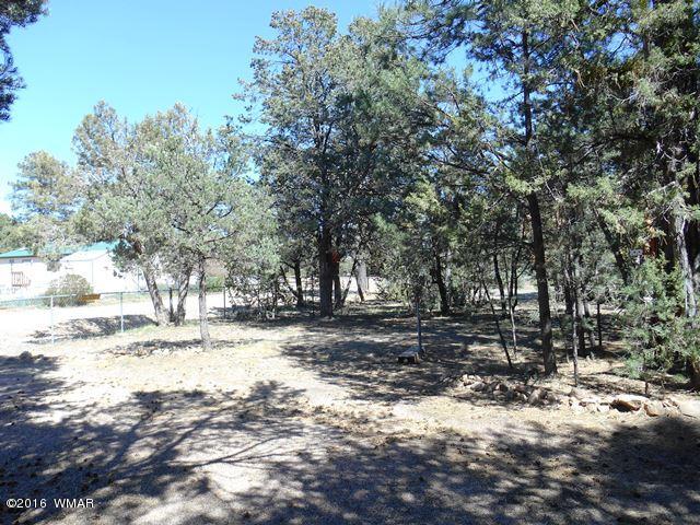 3371 Rim Lakes Drive Overgaard, AZ 85933 - Photo 13 of 59 Gallery Image 13