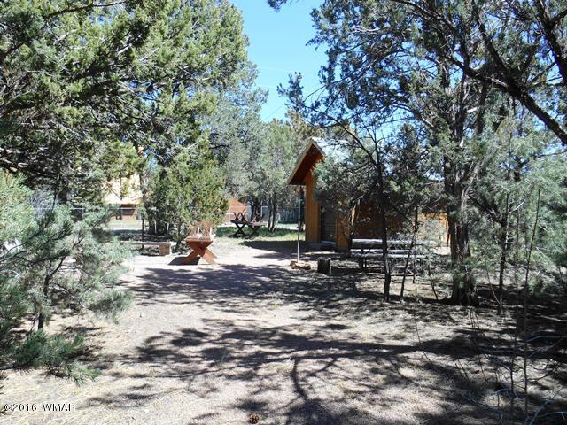 3371 Rim Lakes Drive Overgaard, AZ 85933 - Photo 14 of 59 Gallery Image 14