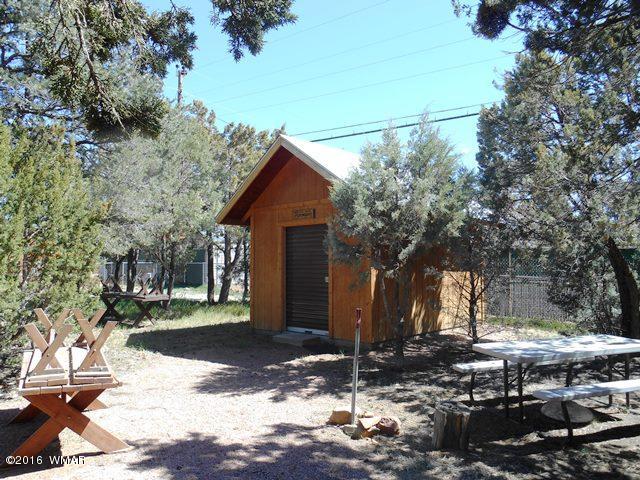 3371 Rim Lakes Drive Overgaard, AZ 85933 - Photo 15 of 59 Gallery Image 15