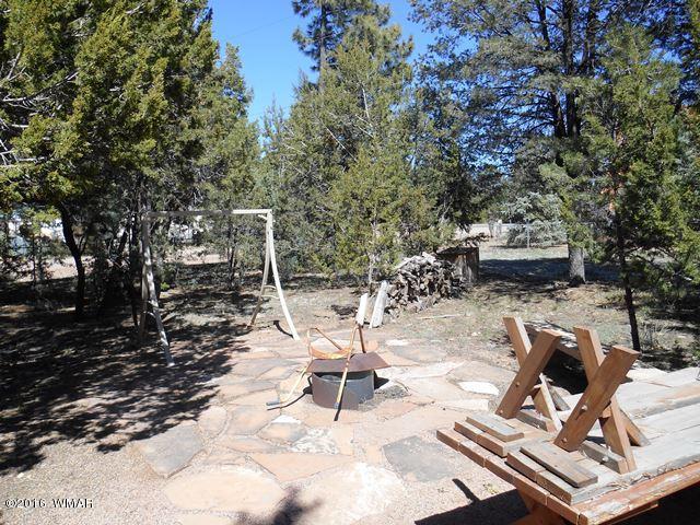 3371 Rim Lakes Drive Overgaard, AZ 85933 - Photo 16 of 59 Gallery Image 16