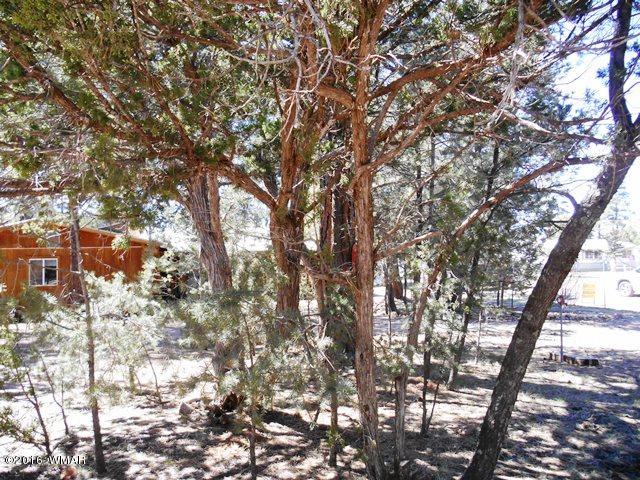 3371 Rim Lakes Drive Overgaard, AZ 85933 - Photo 17 of 59 Gallery Image 17