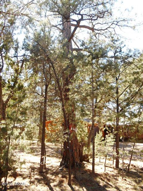 3371 Rim Lakes Drive Overgaard, AZ 85933 - Photo 18 of 59 Gallery Image 18