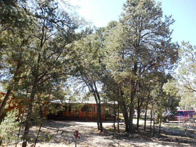 3371 Rim Lakes Drive Overgaard, AZ 85933 - Photo 19 of 59 Gallery Image 19