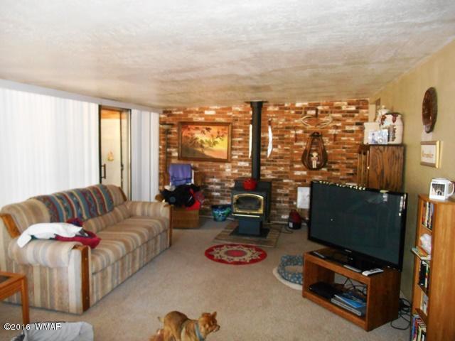 3371 Rim Lakes Drive Overgaard, AZ 85933 - Photo 2 of 59 Gallery Image 2