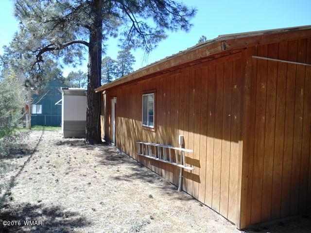 3371 Rim Lakes Drive Overgaard, AZ 85933 - Photo 21 of 59 Gallery Image 21