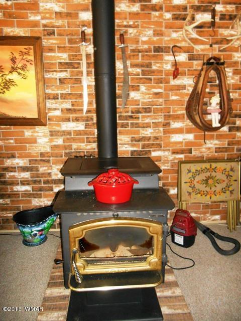 3371 Rim Lakes Drive Overgaard, AZ 85933 - Photo 27 of 59 Gallery Image 27