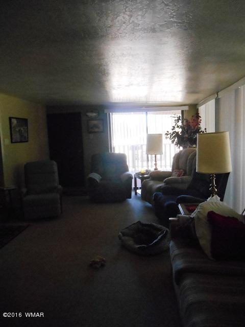 3371 Rim Lakes Drive Overgaard, AZ 85933 - Photo 28 of 59 Gallery Image 28