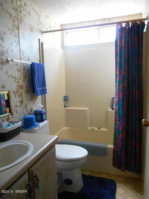 3371 Rim Lakes Drive Overgaard, AZ 85933 - Photo 34 of 59 Gallery Image 34