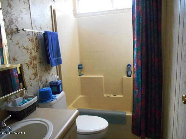 3371 Rim Lakes Drive Overgaard, AZ 85933 - Photo 35 of 59 Gallery Image 35