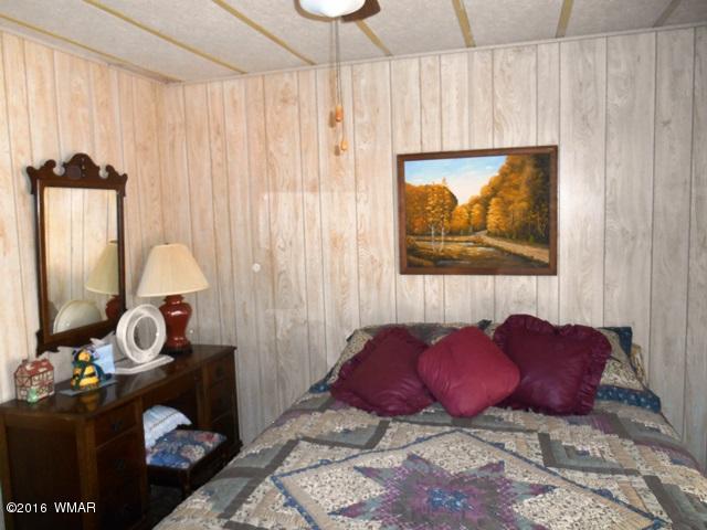 3371 Rim Lakes Drive Overgaard, AZ 85933 - Photo 38 of 59 Gallery Image 38