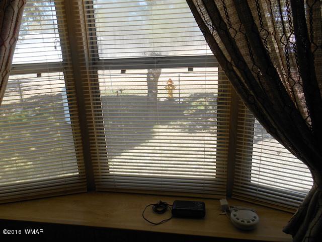3371 Rim Lakes Drive Overgaard, AZ 85933 - Photo 39 of 59 Gallery Image 39