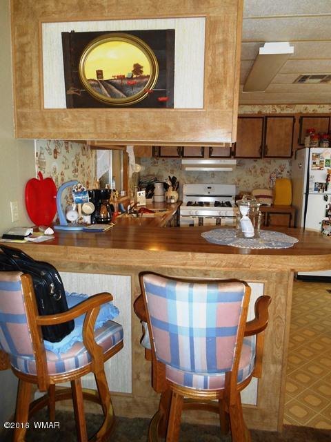3371 Rim Lakes Drive Overgaard, AZ 85933 - Photo 41 of 59 Gallery Image 41