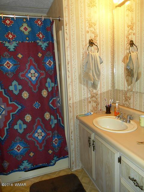3371 Rim Lakes Drive Overgaard, AZ 85933 - Photo 48 of 59 Gallery Image 48