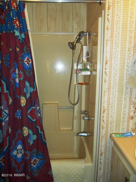 3371 Rim Lakes Drive Overgaard, AZ 85933 - Photo 49 of 59 Gallery Image 49