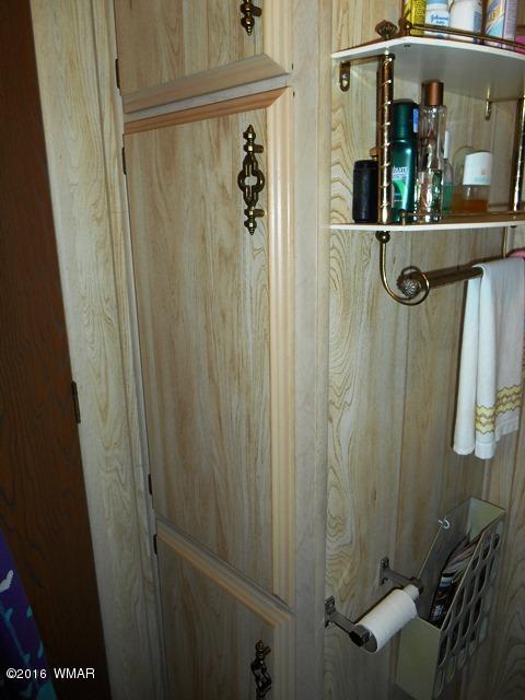 3371 Rim Lakes Drive Overgaard, AZ 85933 - Photo 50 of 59 Gallery Image 50