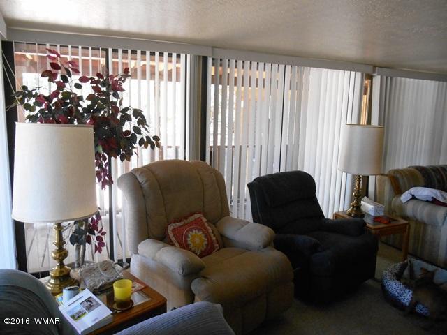 3371 Rim Lakes Drive Overgaard, AZ 85933 - Photo 5 of 59 Gallery Image 5