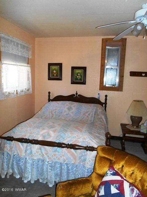 3371 Rim Lakes Drive Overgaard, AZ 85933 - Photo 53 of 59 Gallery Image 53