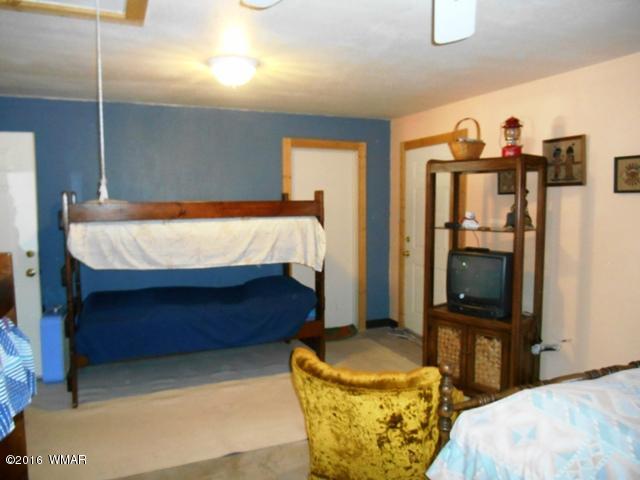 3371 Rim Lakes Drive Overgaard, AZ 85933 - Photo 55 of 59 Gallery Image 55