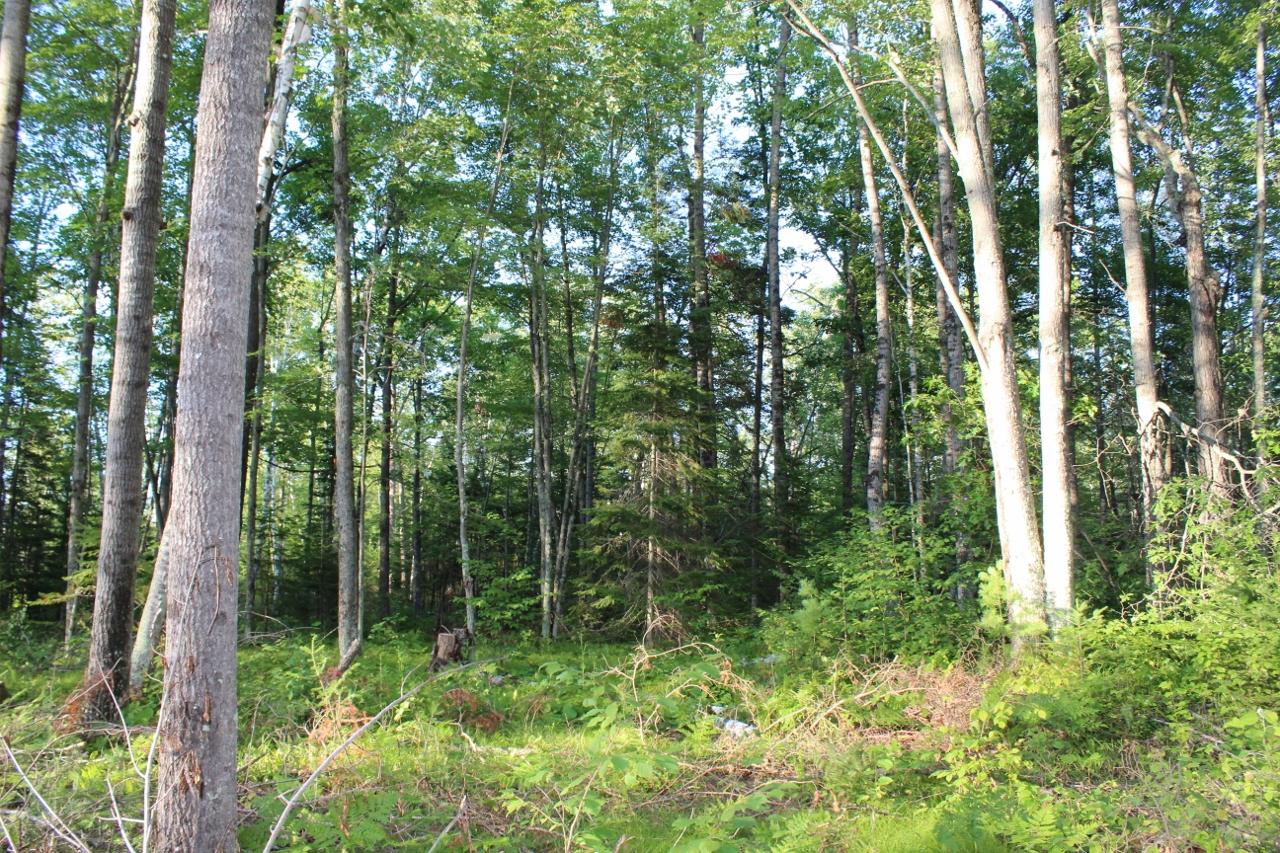 3-ac Clear Lake Road Elcho, WI 54428 - Photo 24 of 38 Gallery Image 24