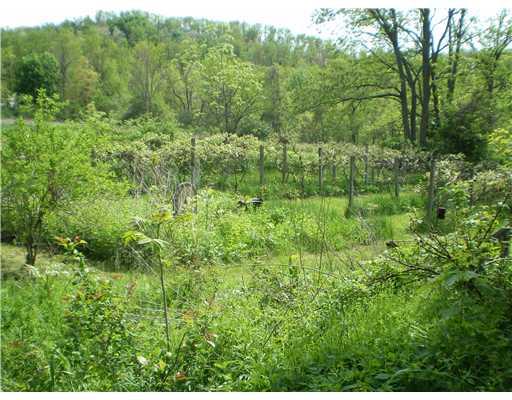 188 Greenfield Road Perryopolis, PA 15473 - Photo 2 of 10 Land/Lot.