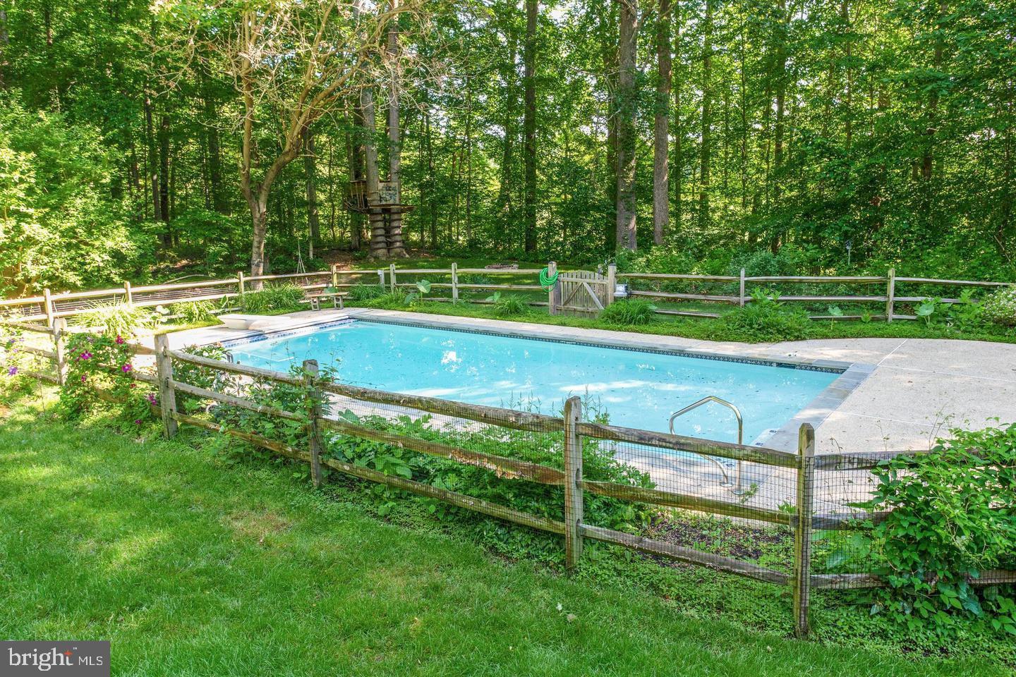 4304 Rousbys Run West River, MD 20778 - Photo 40 of 50 a view of a tennis ground with a large trees