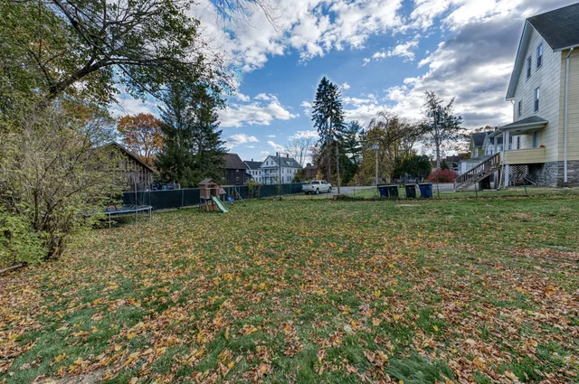 a view of a park with large trees