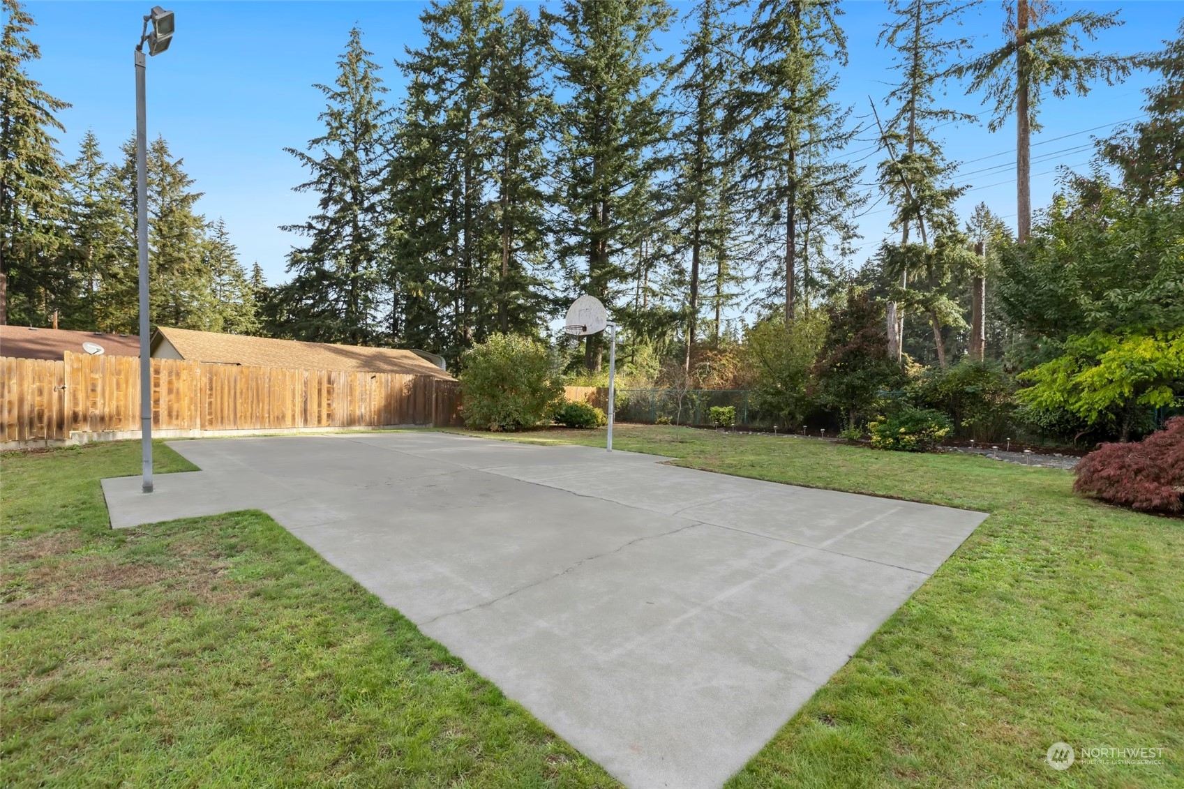 12730 Southeast 95th Place Renton, WA 98056 - Photo 33 of 38 a view of a park with large trees