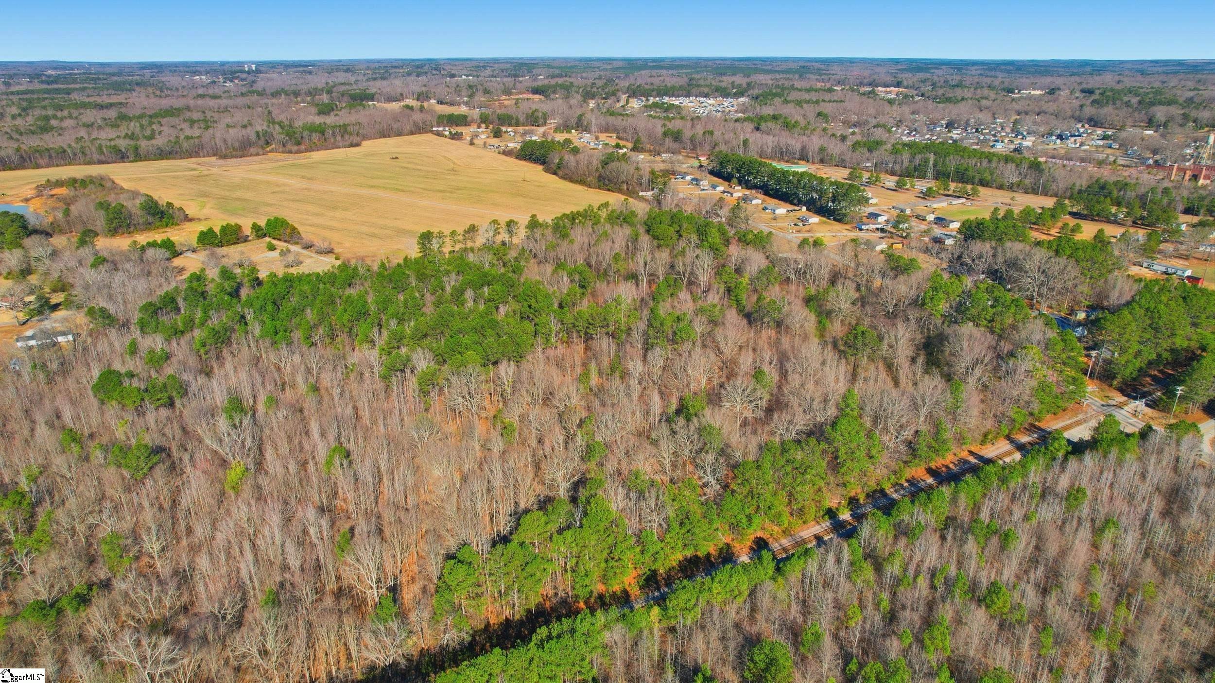 0 Apple Orchard Road Clinton, SC 29325 - Photo 4 of 22