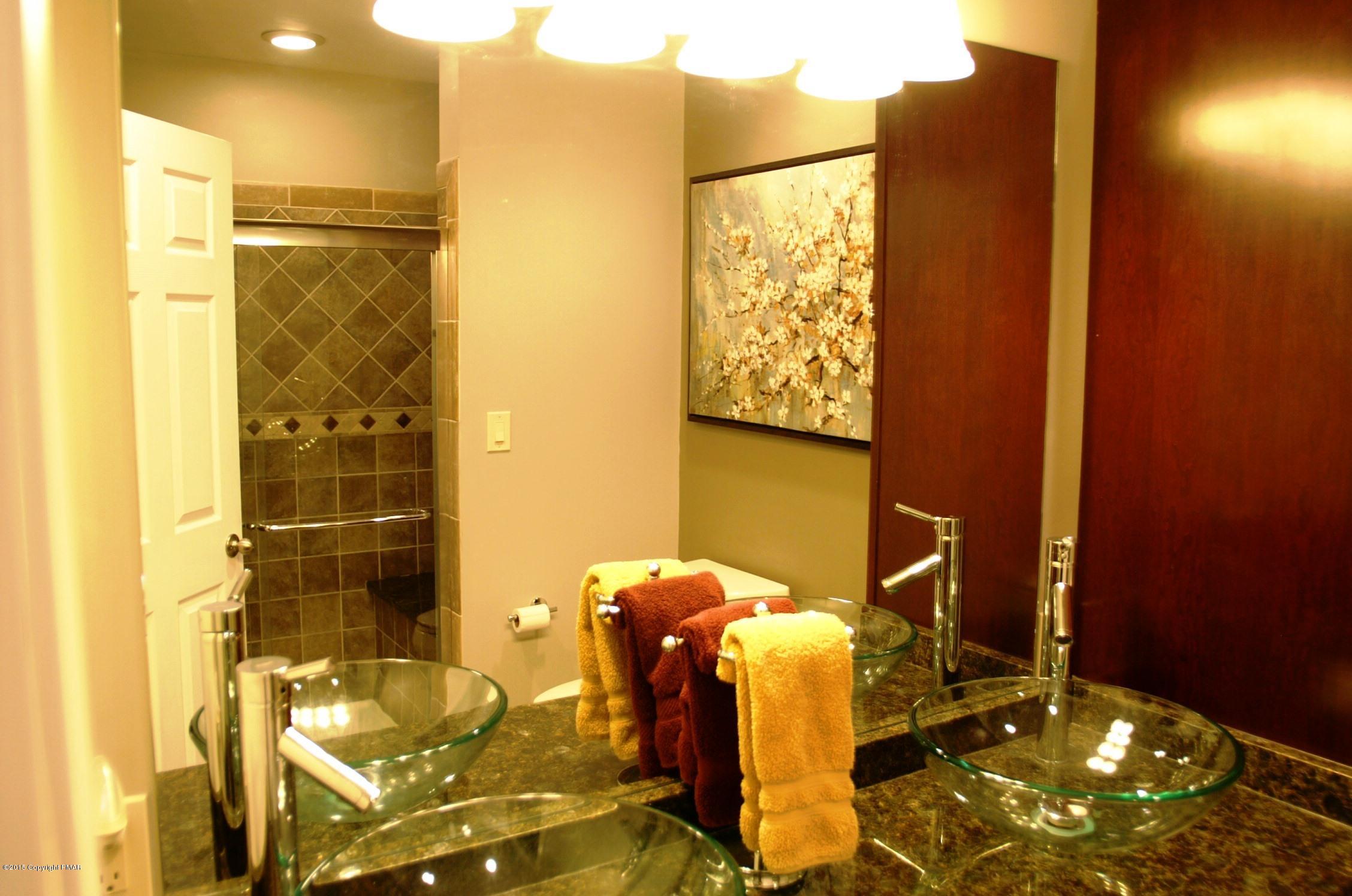 323 Blue Ridge Road Saylorsburg, PA 18353 - Photo 14 of 24 master bath 2.JPG