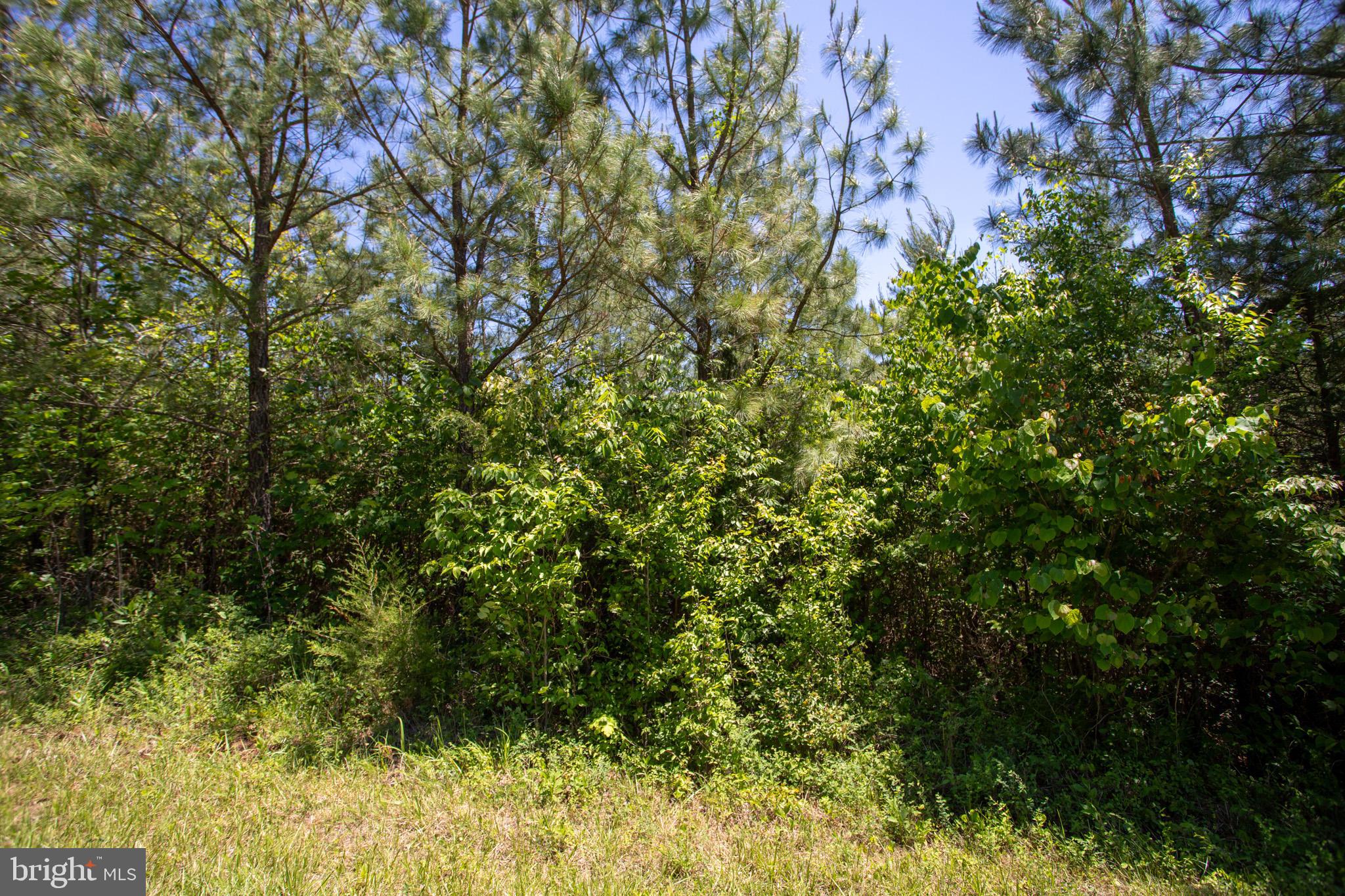 Tbd Tbd Appletree, Unit 8C Sandy Level, VA 24161 - Photo 22 of 25
