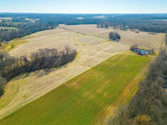 $1,000,000 | 0 Hwy 41 N Cedar Hill, Cedar Hill, TN 37032
