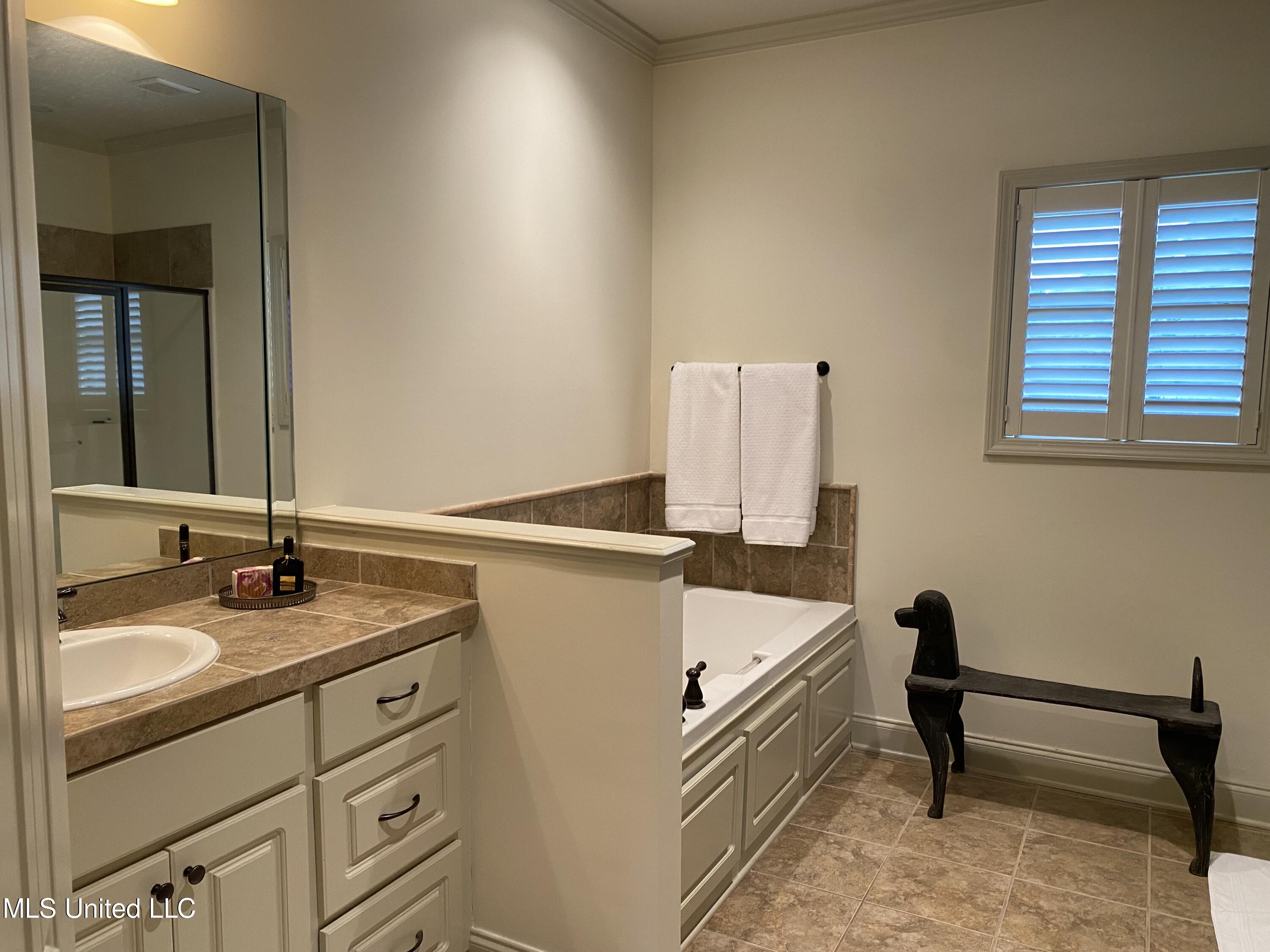 100 Hampton Ridge Madison, MS 39110 - Photo 26 of 36 IMG_4303