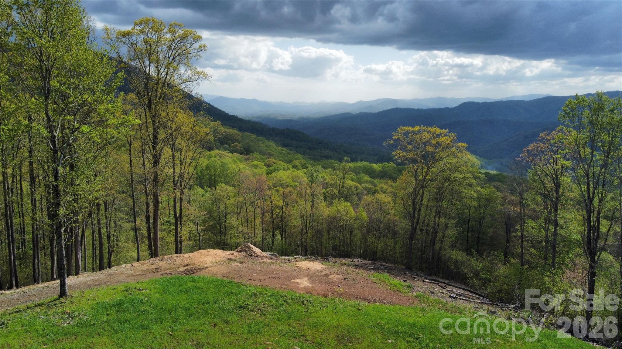 Tbd Nicholas Knoll Road Bakersville, NC 28705 - Photo 19 of 28 Gallery Image 19