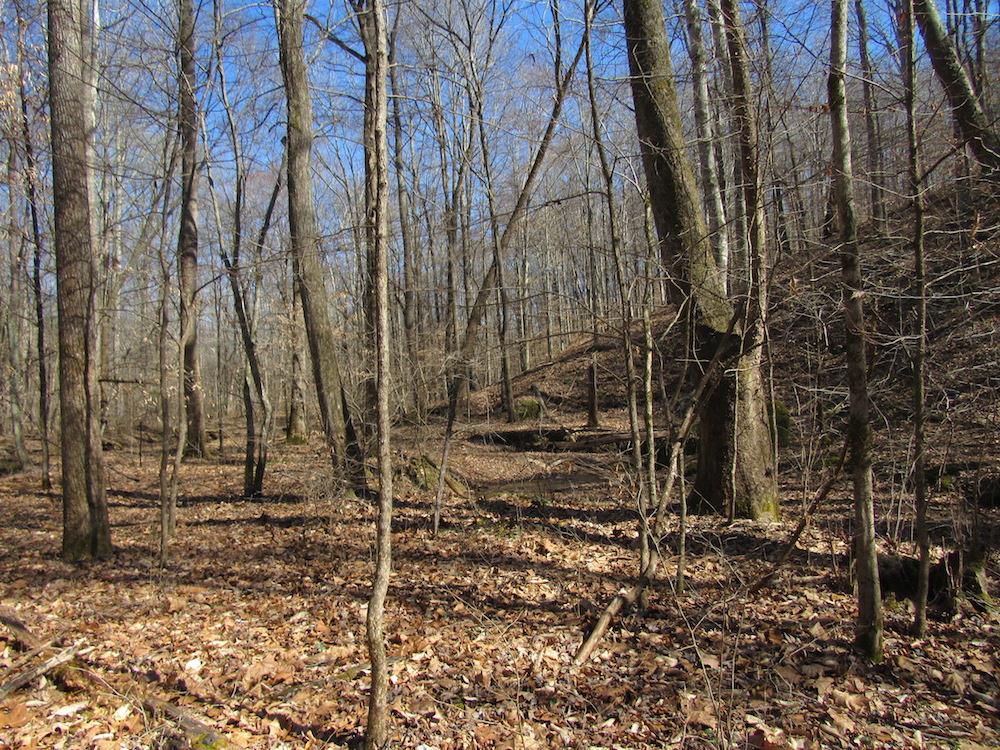 0 Tanner Hollow Road Centerville, TN 37033 - Photo 1 of 18 Gallery Image 1