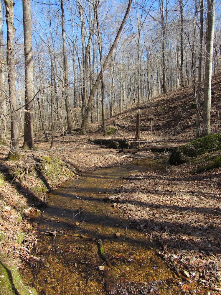 0 Tanner Hollow Road Centerville, TN 37033 - Photo 15 of 18 Gallery Image 15