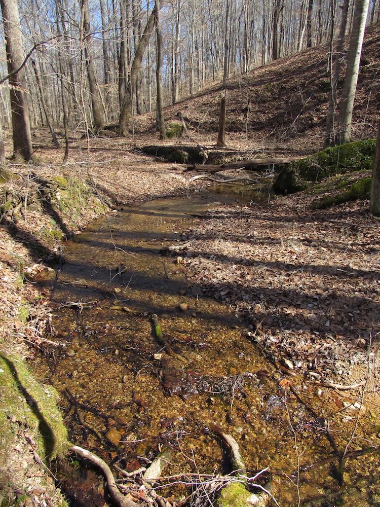 0 Tanner Hollow Road Centerville, TN 37033 - Photo 16 of 18 Gallery Image 16