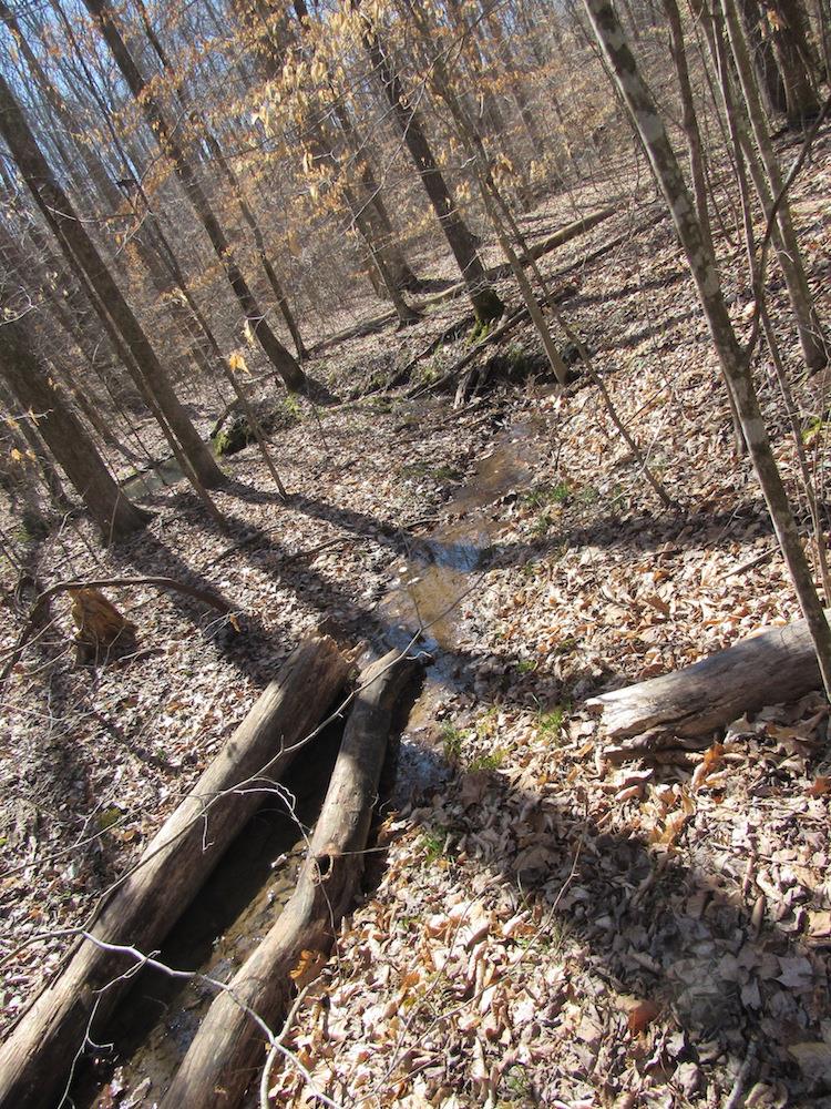 0 Tanner Hollow Road Centerville, TN 37033 - Photo 17 of 18 Gallery Image 17