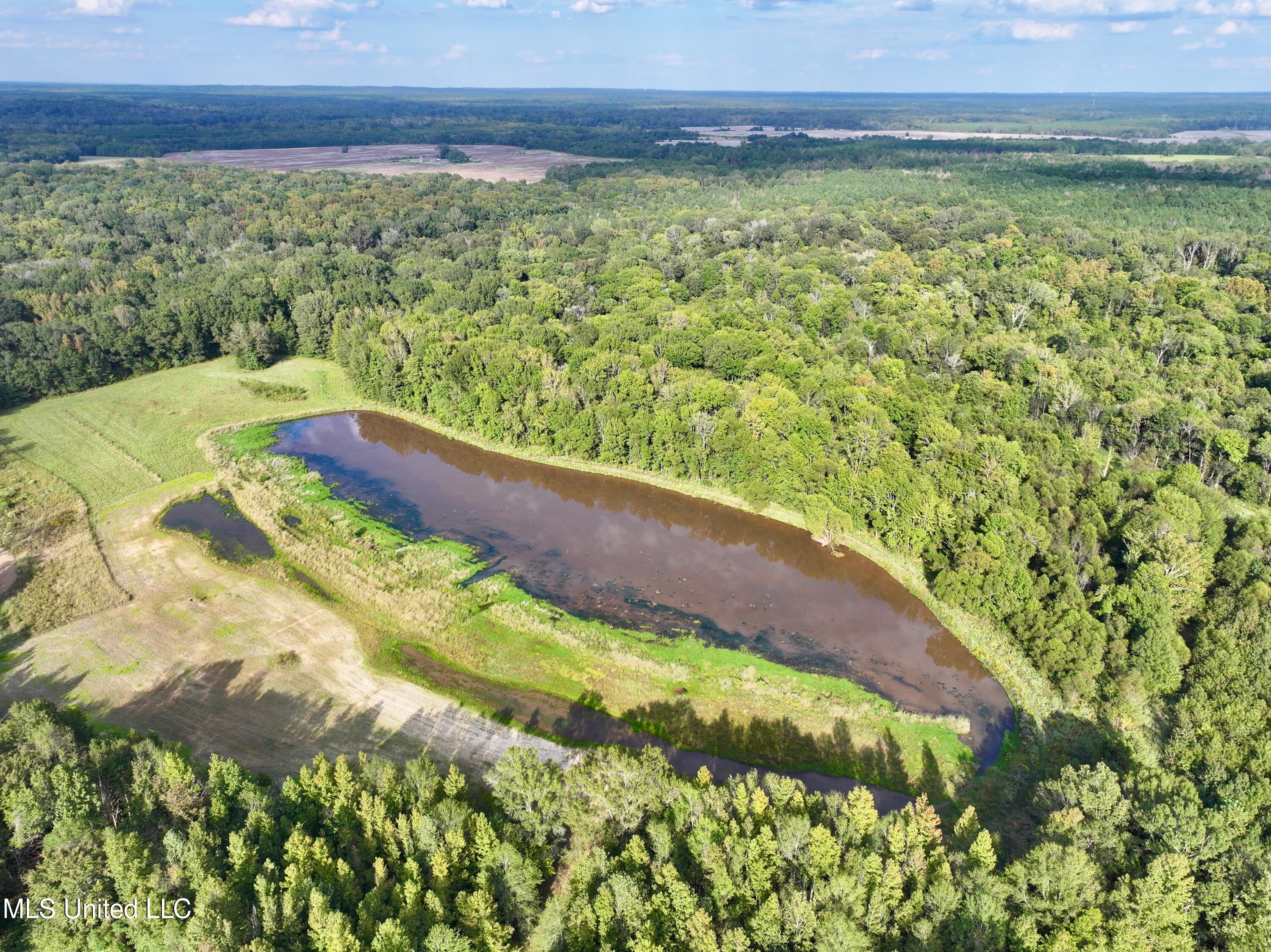 James Road Jackson, MS 39209 - Photo 11 of 35 dji_fly_20241003_200334_0016_17279941435
