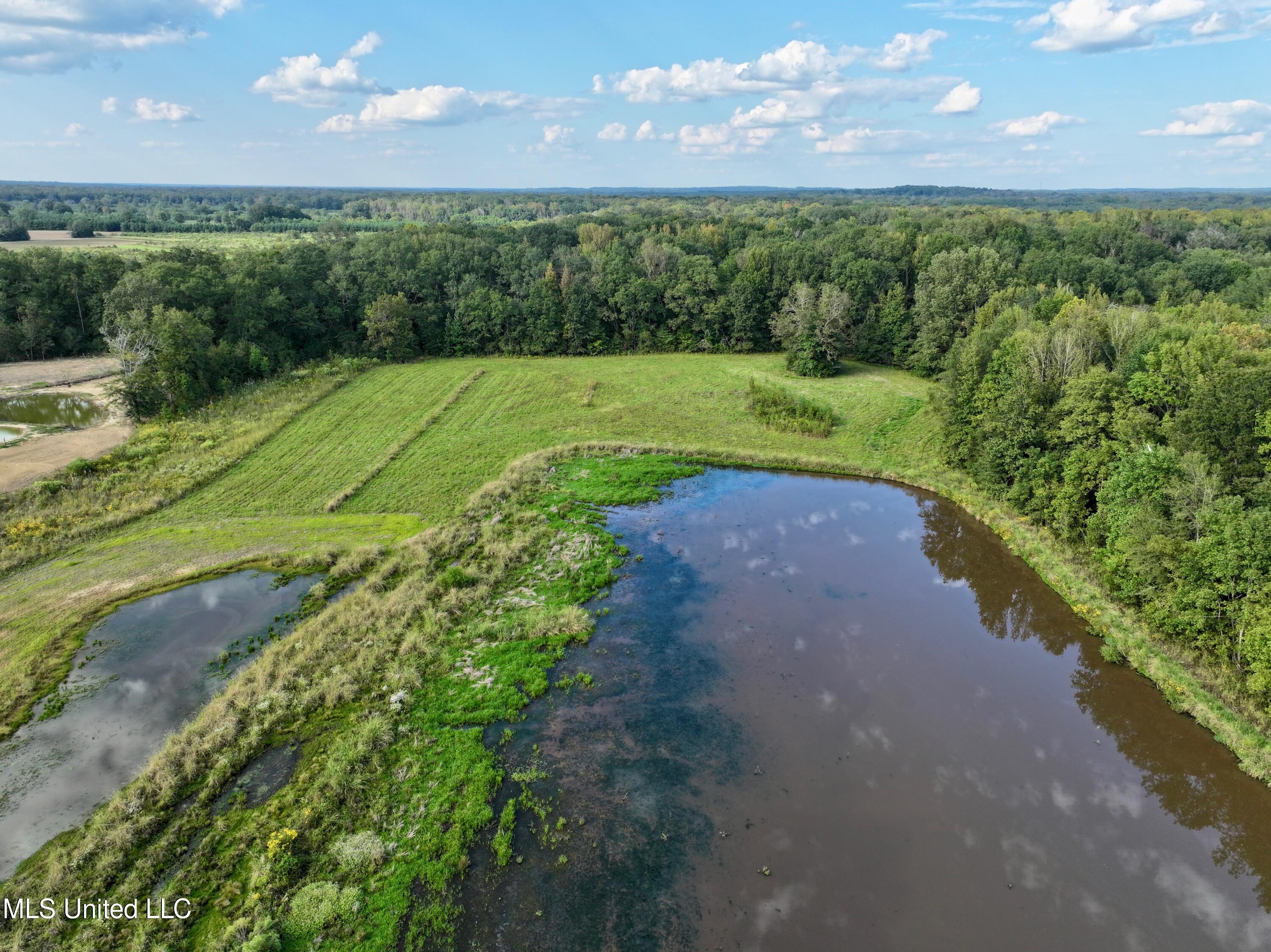 James Road Jackson, MS 39209 - Photo 13 of 35 dji_fly_20241003_200140_0014_17279941518