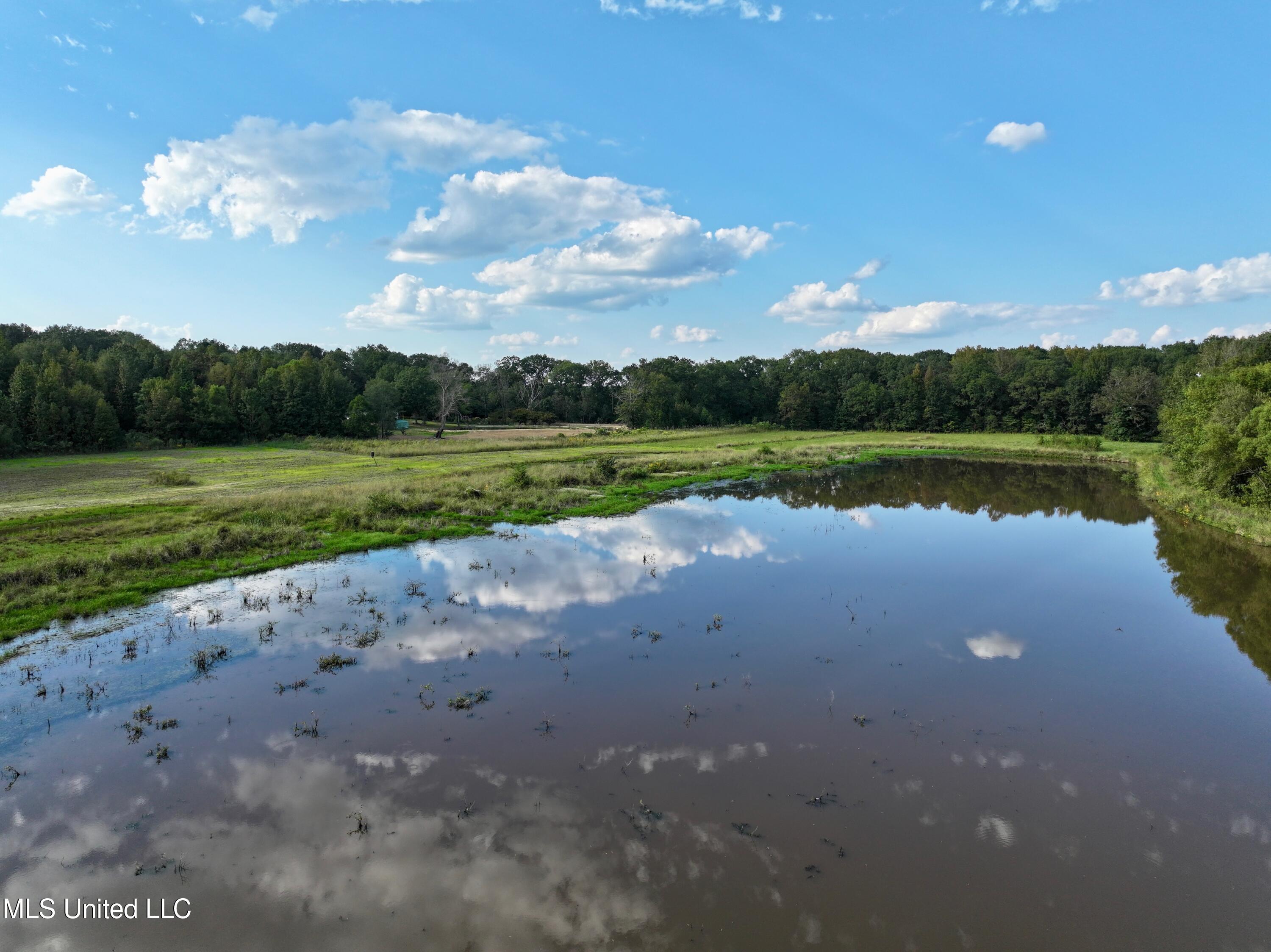 James Road Jackson, MS 39209 - Photo 14 of 35 dji_fly_20241003_200124_0013_17279941540