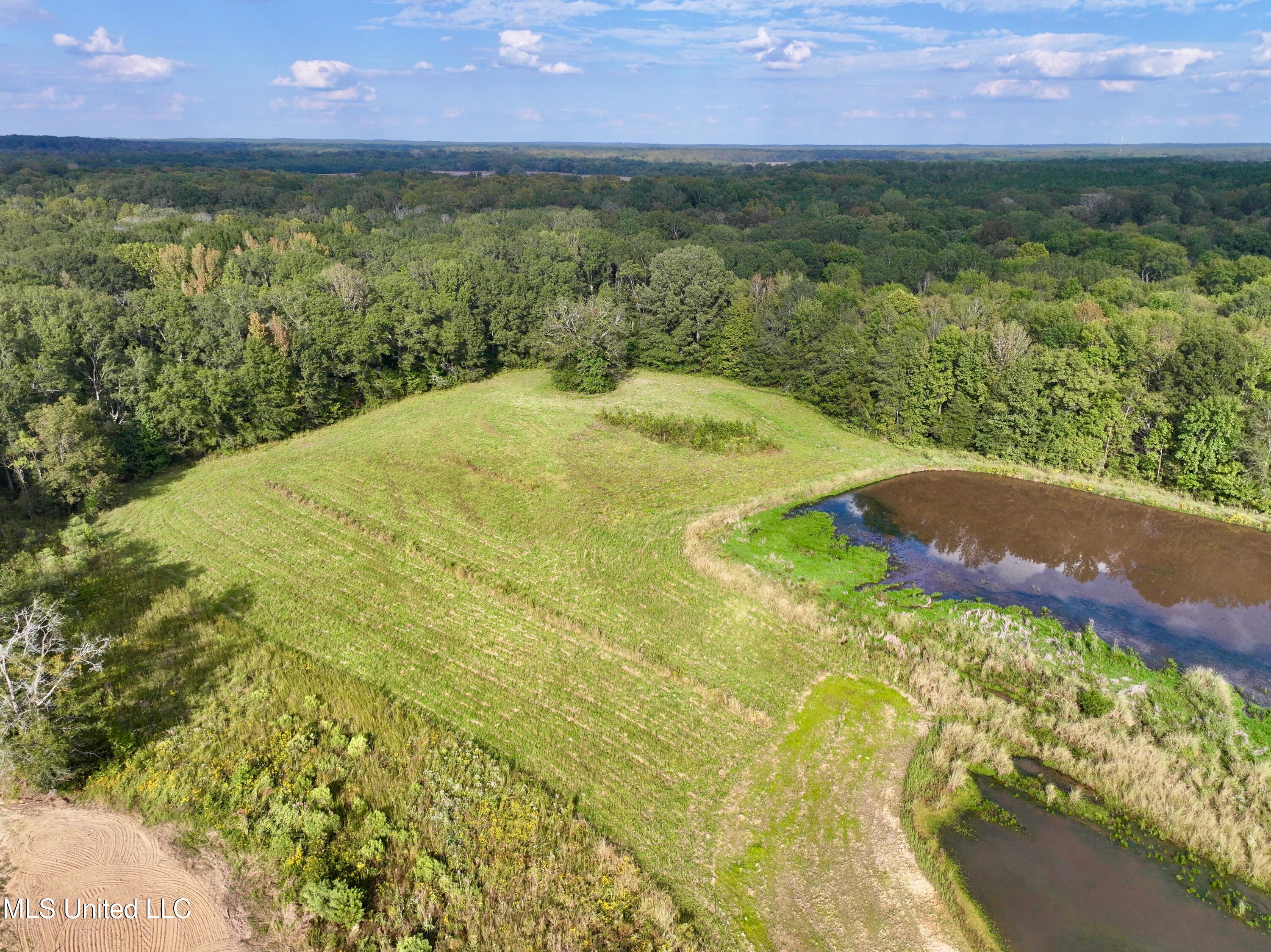 James Road Jackson, MS 39209 - Photo 15 of 35 dji_fly_20241003_195630_0008_17279941715