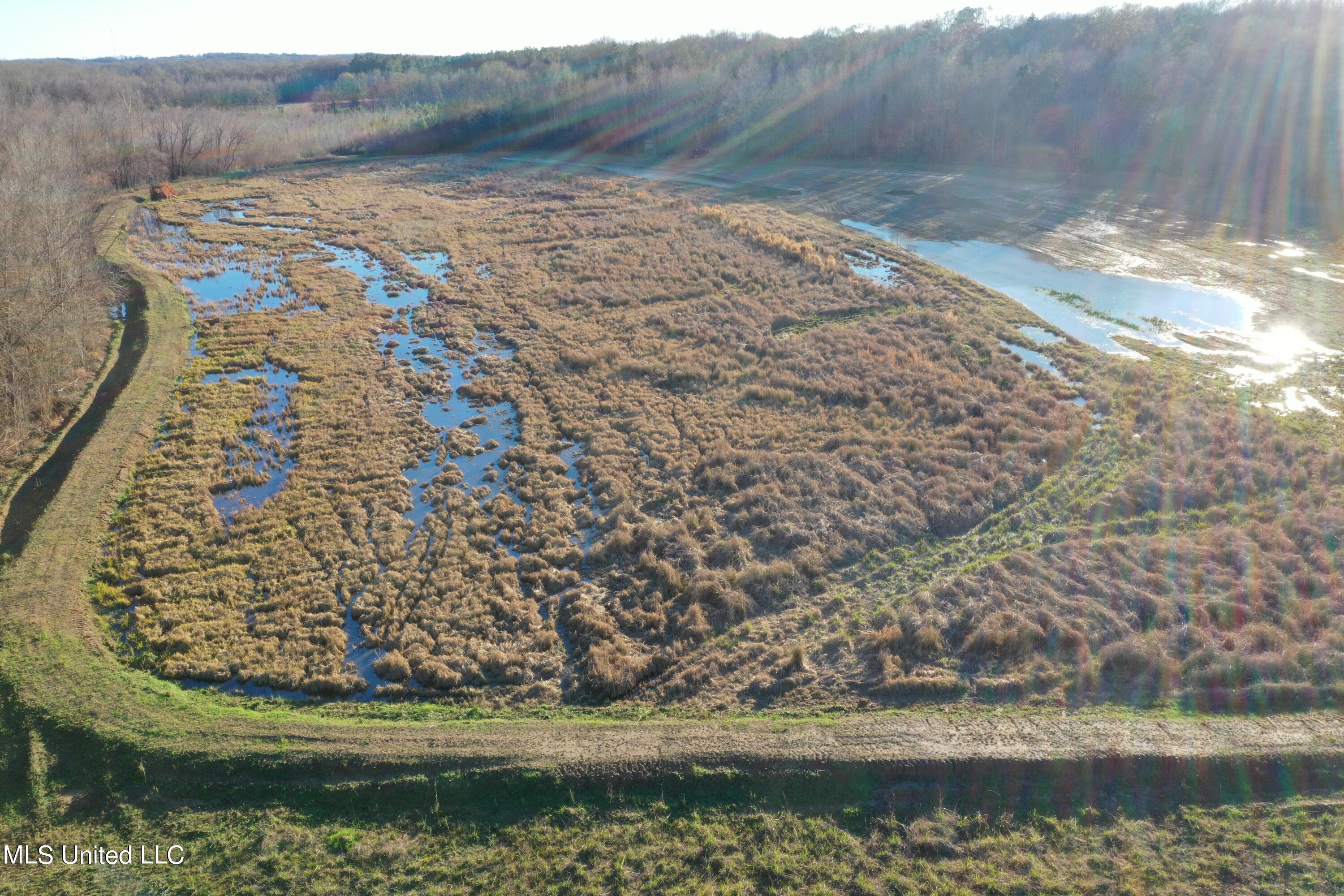 James Road Jackson, MS 39209 - Photo 21 of 35 DJI_0084