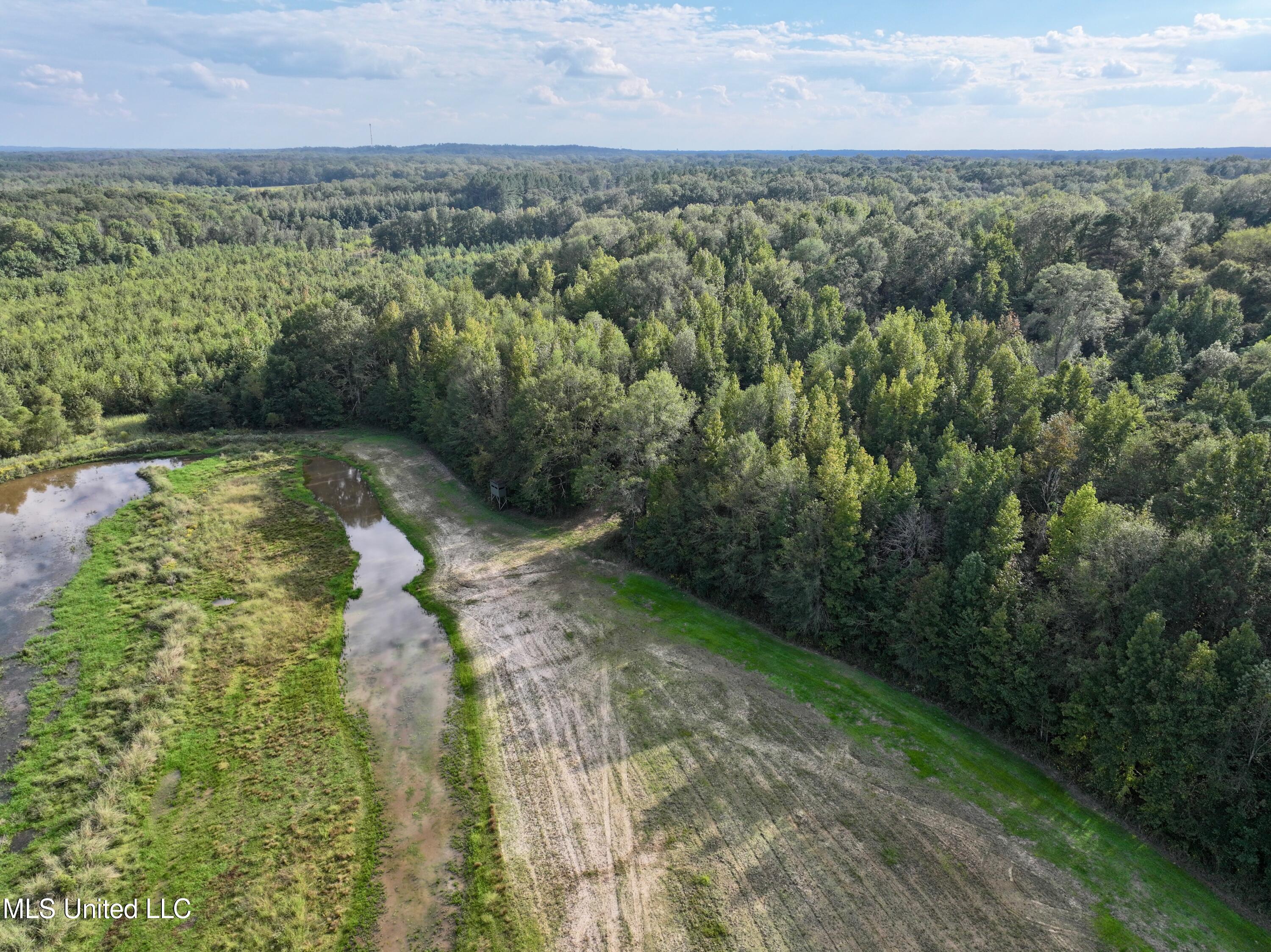 James Road Jackson, MS 39209 - Photo 31 of 35 dji_fly_20241003_195646_0009_17279941689