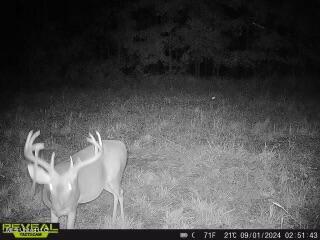 James Road Jackson, MS 39209 - Photo 34 of 35 861641042573336-100-3-09012024025142-W10