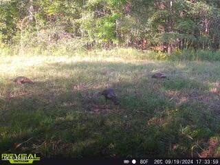 James Road Jackson, MS 39209 - Photo 35 of 35 861641042573336-100-4-09192024173358-W10