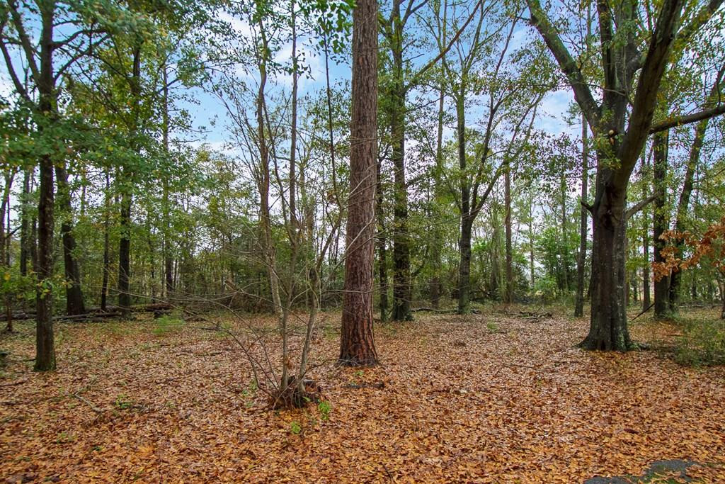 Lot 1 Longmeadow Road Aiken, SC 29803 - Photo 4 of 5