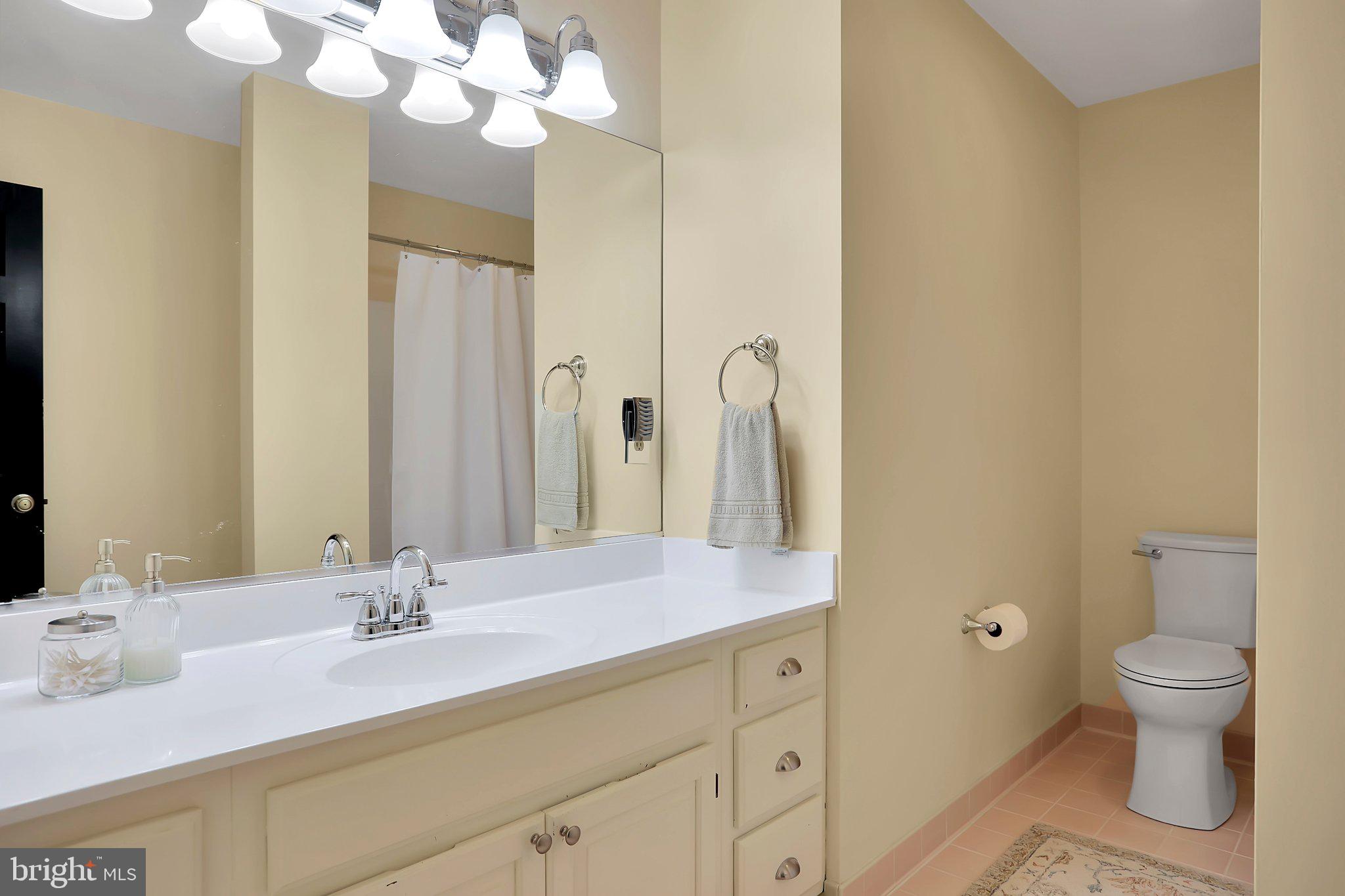 7845 Ridge Road Frederick, MD 21702 - Photo 33 of 67 a bathroom with a sink a toilet and a mirror