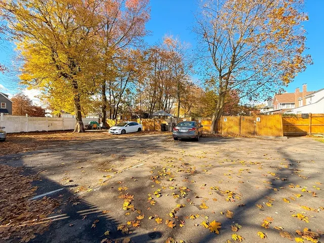 a view of road with large trees